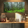 thumbnail image 1 of Hoh Rain Forest - Landscape Photography Canvas Art Print, 1 of 3