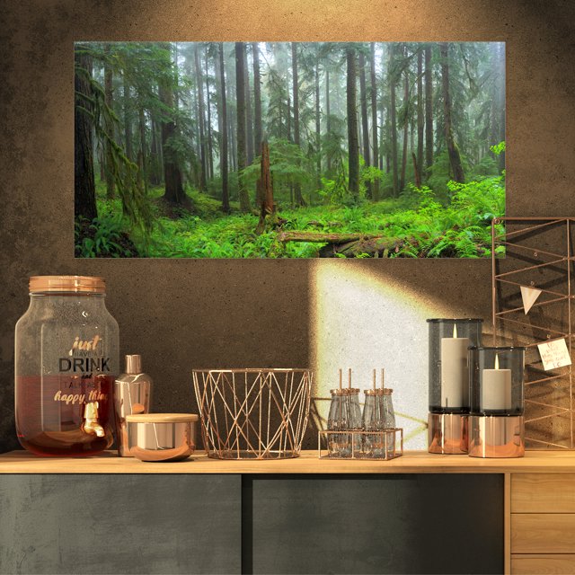 Hoh Rain Forest - Landscape Photography Canvas Art Print