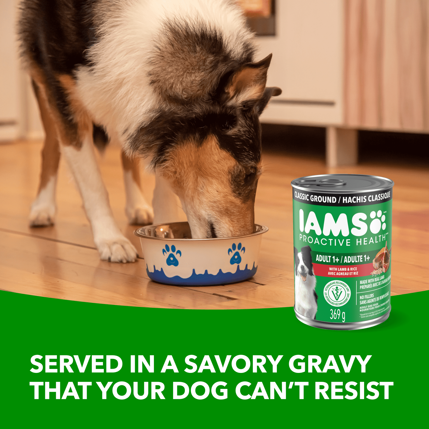 IAMS Proactive Health Agneau & Riz Ensemble Multiple Adulte Nourriture Humide pour Chiens 500g