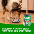 thumbnail image 2 of IAMS Proactive Health Lamb & Rice Multipack Adult Wet Dog Food 500g, 2 of 13
