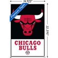thumbnail image 3 of NBA Chicago Bulls - Logo 21 Wall Poster with Push Pins, 3 of 5