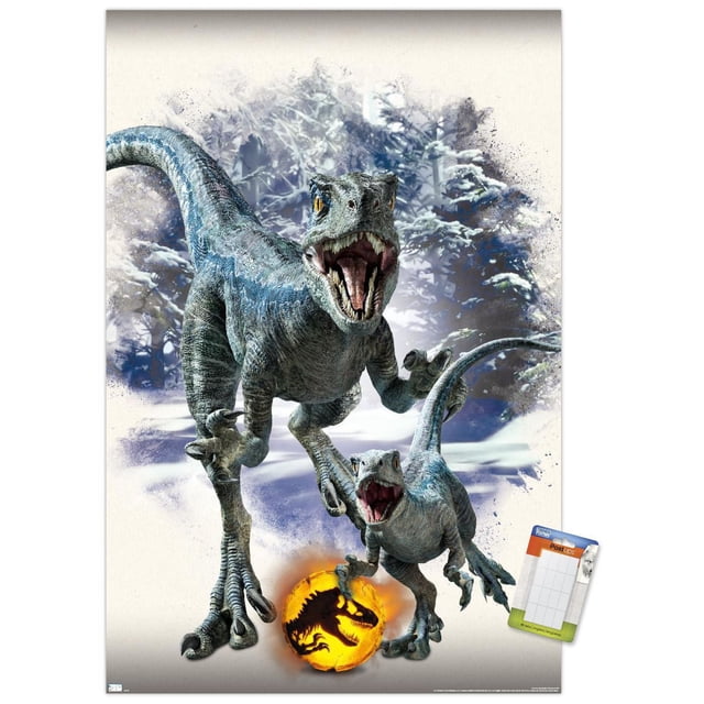 Monde Jurassique : Dominion - Affiche Murale Focale Bleue et Bêta, 14,725 Po x 22,375 Po Encadrée, Représentant Deux Vélociraptors, Bleus et Bêta, à Bouche Ouverte et Dents Tranchantes sur un Sol Enneigé, avec une Balle logo Monde Jurassique orange Lumineuse, sur Fond de Forêt Enneigée, Convient à l'Art Mural et à la Déco de Chambre à Thème.