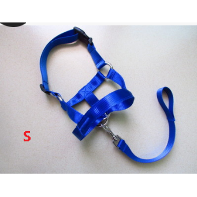 Faithtur Corde à Mâchoire pour Chiens, Laisse Douce, Ensemble de Traction pour Tête Réglable, Accessoires pour Animaux de Compagnie
