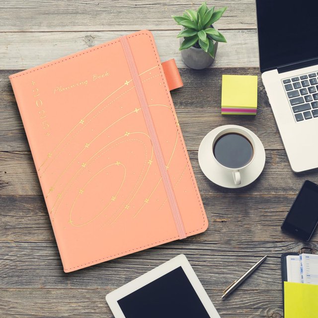 Dvkptbk planner planner English and Spanish Schedule Book Binding Notes Today's Plan Book