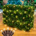 thumbnail image 5 of Novelty Lights 4x6 Warm White LED Net Lights, 100 Bush & Hedge Lights, 5 of 5