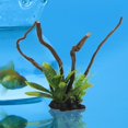 thumbnail image 3 of Fake Water Plants Safe Accessories Resin Simulation Driftwood Tree Root for Landscaping, 3 of 8