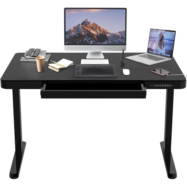48 x 24 inch Electric Standing Desk, Height Adjustable Sit Stand Desk Computer Workstation with Storage Drawer and USB Ports for Home Office, 99lbs Capacity, 4 Memory Preset