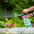 thumbnail image 4 of Scotts Liquid Turf Builder Fertilizer 29-0-3 946ML/185m2, 4 of 5