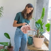 Meitianfacai Plastic Watering Can, Novelty Indoor Outdoor Watering Can Decorative and Functional Elephants-Shaped Watering Can