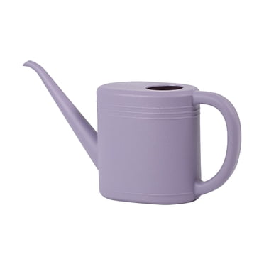 SIfdSeng Indoor Watering Can Watering Can for Garden Indoor Outdoor Flower Small Watering Can Metal Small Watering Can for Seedlings