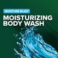 thumbnail image 3 of Irish Spring Moisture Blast Men's Moisturizing Body Wash, 3 of 6