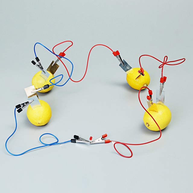 Fruit Battery For Teaching Fruit Diode Science Physics Experiment Equipment Kit for Kids Teaching