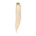 thumbnail image 2 of Radis Daikon, Vendue individuellement, 0.28 - 1.85 KG, 2 of 3