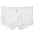 thumbnail image 1 of XZNGL Mens Mesh Comfortable Sweat-Absorbing Ultra-Thin Underwear with Flat Angle Pants, 1 of 1