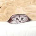 thumbnail image 4 of PiccoCasa 1 Pcs Home Warm Soft Microplush Fleece Solid Throw Blanket Wheat 27" x 40", 4 of 9
