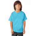 thumbnail image 1 of Hanes T-Shirt à Manches Courtes Col Ras du Cou ComfortWash pour Garçons, G, Eau Douce, 1 of 1