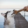 thumbnail image 4 of Lumabone Beef-Flavored Bulkster Dog Chew Toy, Medium, 4 of 4