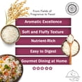 thumbnail image 4 of Pride Of India - Thai White Jasmine Rice - Fragrant Hom Mali Rice, 1.5 Pound Jar, 4 of 7