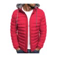 thumbnail image 2 of ITFABS Men Winter Down Jacket, Solid Color Hooded Long Sleeve Zip-Up Outer, 2 of 7