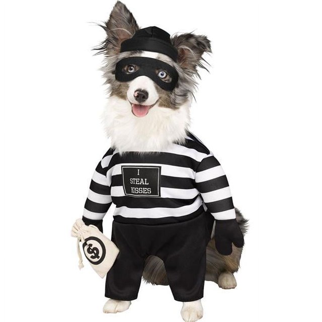 Fun World FW98054SM Robber Pup Costume pour Animaux - Petit