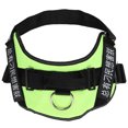 thumbnail image 1 of XYCCA Harnais Réfléchissant pour Chien Collier Sangle de Poitrine Antidéflagrant Fournitures Vert TTG-0822, 1 of 5