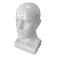 thumbnail image 3 of PVC Mannequin Male Head Model Height 34cm Styling Accessory for Hair Glasses Head Circumference 56cm Durable Lightweight White, 3 of 8