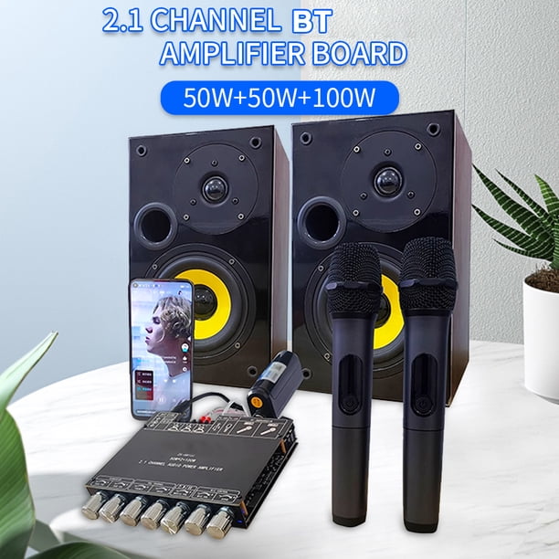 High-Power Bluetooth Amplifier Board YS-AM100 for KTV - 2.1