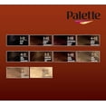 thumbnail image 2 of Palette Coloration Soin aux Huiles Intensive 5-68 Châtain Acajou, 2 of 5
