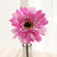 thumbnail image 1 of YHDSHY Clearance Items! Chrysanthemum Simulation Flower Home Decoration Table Decoration Fake Flower Simulation Flower Clearance Sales Today Deals Prime, 1 of 6