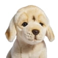 thumbnail image 5 of Hugs and Cuddles™ Rescue Center 10" Labrador Plush, 5 of 5