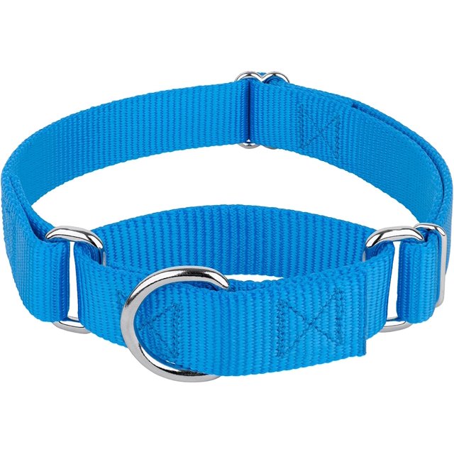 Country Brook Petz Martingale Dog Collar - Heavy-Duty Training Collar with No Buckle - Service Dog Collar for All Pups - Vibrant, Colorful Collection (Ice Blue, 1 Inch, Extra Large)