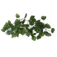 thumbnail image 3 of Simulation Rattan Landscaping, Neatly Cut Edges No Burrs Variety Of Models Hanging Plant False Vine  For Aquariums For Daily For Reptile Boxes For Fish Tanks NFF-80 Fruit Su, 3 of 8
