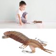thumbnail image 4 of Simulation Shrimp Model,  Shrimp Model Solid Exquisite Details Plastic Mantis Shrimp Shape  For House Decoration For Children Cognitive Toy, 4 of 8