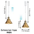 thumbnail image 3 of FSLiving Adjustable Height Track Pendnat Light H-Type Retractable Lift Track Spotlight with Telescoping Rod Adjustable Gimbaled Lamp-Post Halo Track Industrial Cone Lamp, Brass - 3 Lights, 3 of 7