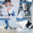thumbnail image 3 of EGNMCR Pet Reusable Diapers Mesh Washable Sanitary Wraps Menstruation Female Dog Diapers Dog Period Panties With 3 Replace Diapers For Pet Incontinence For Every Size Reusable Diapers, 3 of 6