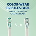 thumbnail image 3 of Spinbrush Pro Whiten Replacement Toothbrush Heads, 3 of 5
