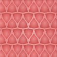 thumbnail image 1 of Ahgly Company Tapis d'Intérieur Lavable en Machine Carré Rouge, 8 Pieds Carré, 1 of 7