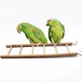 thumbnail image 3 of 1Set Metal Hooks Ladder for Budgie Exercise and Intelligence Development, 3 of 9