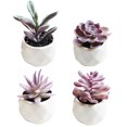 thumbnail image 2 of Coofit 4PCS Potted Plant Decorative Fake Plant Artificial Plant for Balcony Home Garden, 2 of 9