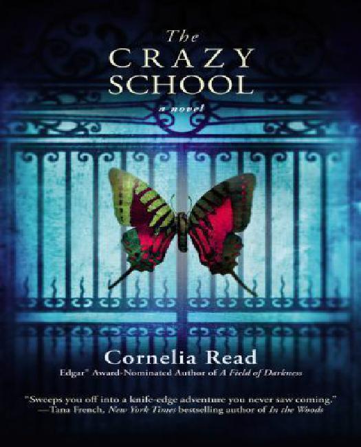 The Crazy School (Madeline Dare Series #2)