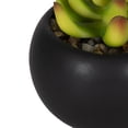 thumbnail image 4 of DesignOvation 3.75"H Tabletop Artificial Succulent in Black Ceramic Pot, 4 of 9