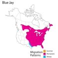 thumbnail image 2 of Wild Republic Audubon Ii Blue Jay Plush, 2 of 2