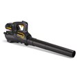thumbnail image 1 of Poulan Pro 40V Handheld Leaf Blower, PPB40AB, 1 of 5