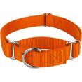 thumbnail image 1 of Country Brook Petz Martingale Dog Collar - Heavy-Duty Training Collar with No Buckle - Service Dog Collar for All Pups - Vibrant, Colorful Collection (Orange, 3/4 Inch, Small), 1 of 8