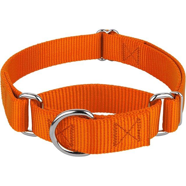Country Brook Petz Martingale Dog Collar - Heavy-Duty Training Collar with No Buckle - Service Dog Collar for All Pups - Vibrant, Colorful Collection (Orange, 3/4 Inch, Small)