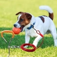 thumbnail image 1 of Pet Supplies Pet Ground Stake Kit for Dogs - Heavy Duty Metal Tie Out Stake Set for Small to Medium Dogs Outdoor Training and Tethering, 1 of 5