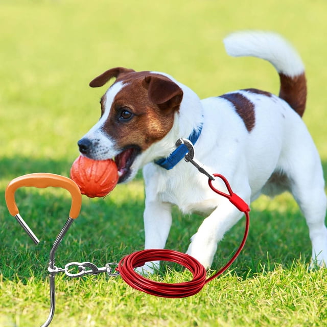 Pet Supplies Pet Ground Stake Kit for Dogs - Heavy Duty Metal Tie Out Stake Set for Small to Medium Dogs Outdoor Training and Tethering