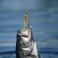 thumbnail image 4 of &Leurres de Pêche 8 Segments Poisson Achigan Minnow Swimbait Attirail Crochet Crank Baits, 4 of 7