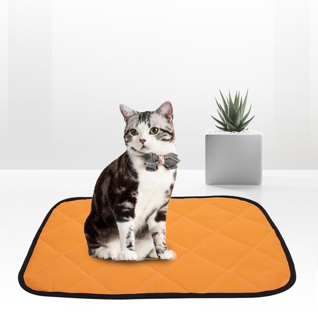 Waterproof Cloth Summer Pet Mat, Oxford Cloth Pet Mat, For Dogs Cats Orange,Yellow,Green