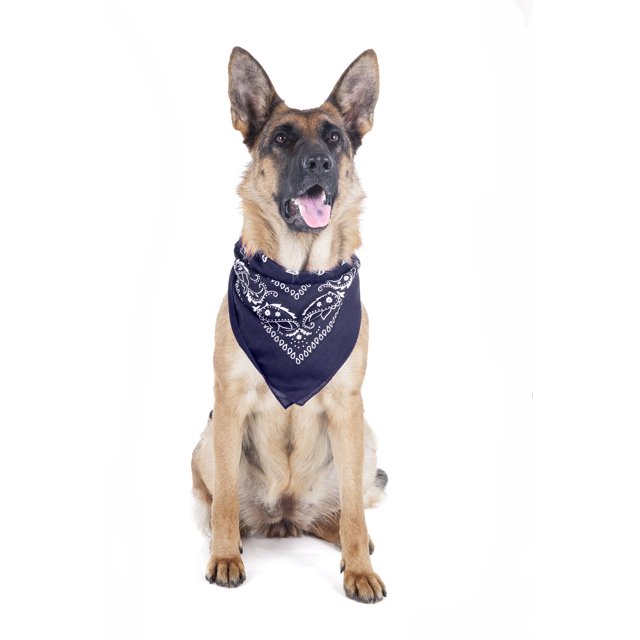 2 Pack Paisley Polyester Pets Dogs Bandana Triangle Shape - Oversized (Blue)
